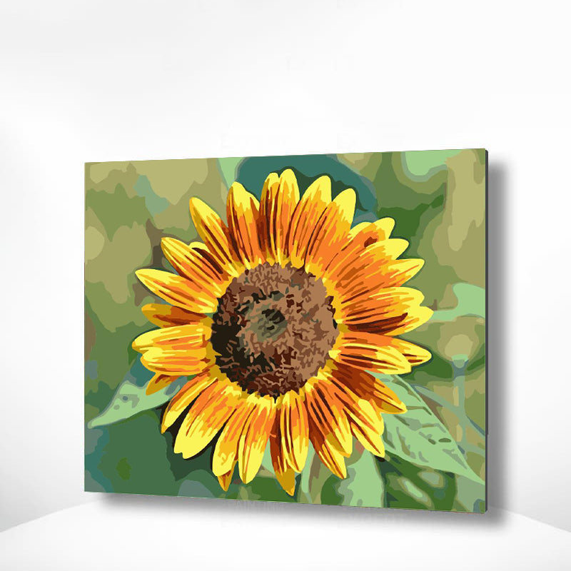 Schilderen op nummer Zonnebloem Geel Oranje