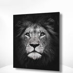 Schilderen op nummer Zwart Wit Leeuw Portret