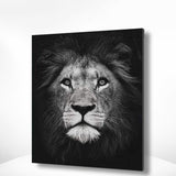 Schilderen op nummer Zwart Wit Leeuw Portret