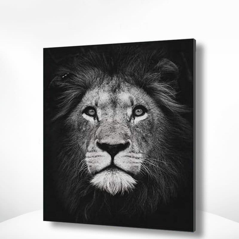 Schilderen op nummer Zwart Wit Leeuw Portret