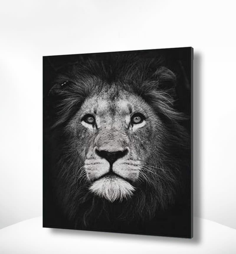 Schilderen op nummer Zwart Wit Leeuw Portret