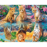 Schilderen op Nummer Katjes en Leeuwen Painting Expert 40x50cm - Op Lijst Gemonteerd (24 kleurtjes) 