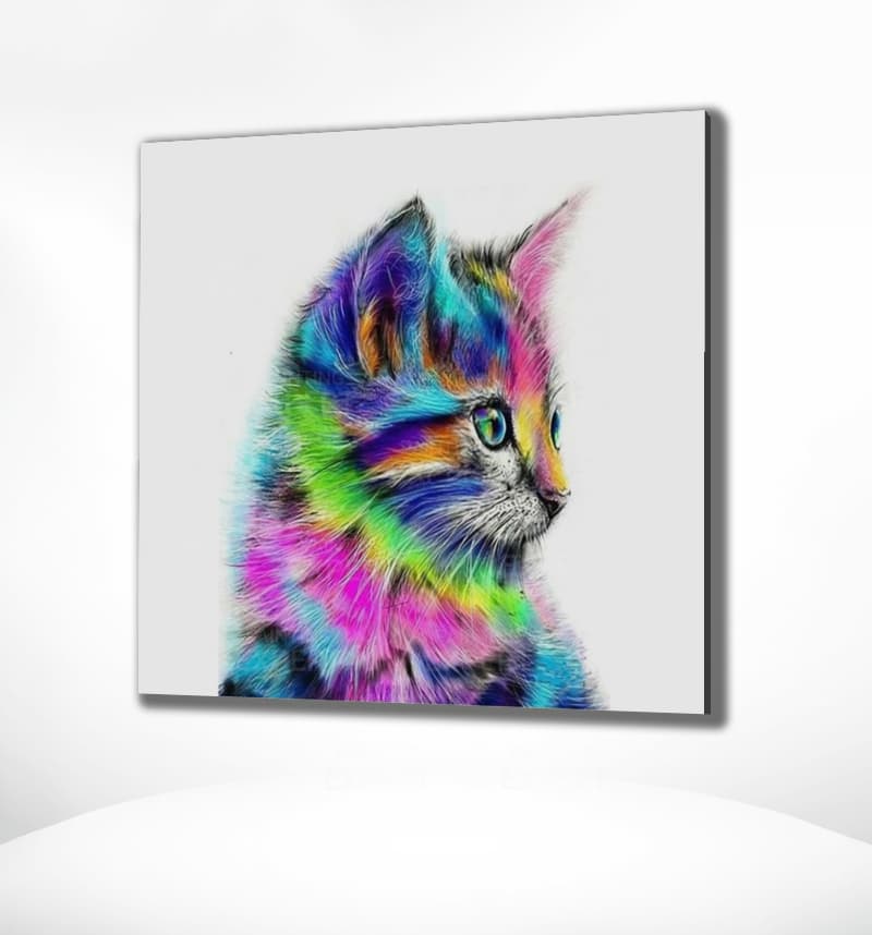 Schilderen op Nummer Kitten Painting Expert 