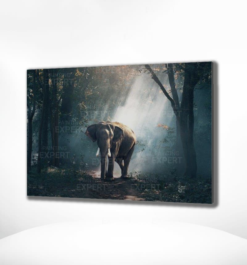 Schilderen op Nummer Olifant in het Bos
