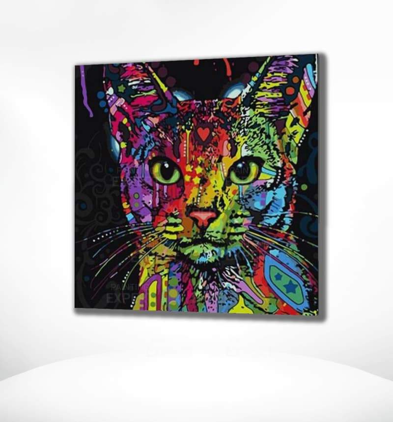 Schilderen op Nummer Opgewekte Kat Painting Expert 