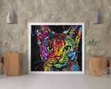 Schilderen op Nummer Opgewekte Kat Painting Expert 