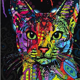 Schilderen op Nummer Opgewekte Kat Painting Expert 