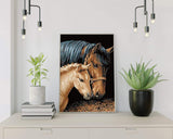 Schilderen op Nummer Paard en Pony Painting Expert 
