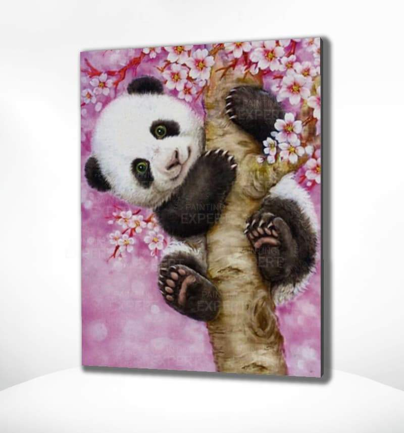 Schilderen op Nummer Panda Painting Expert 
