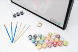 Schilderen op Nummer Parijs Painting Expert 