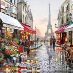 Schilderen op Nummer Parijs Painting Expert 40x50cm - Exclusief Lijst (24 kleurtjes) 