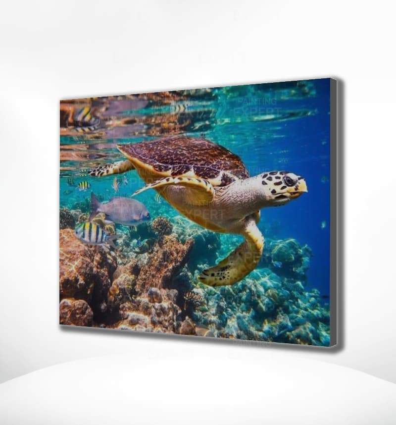 Schilderen op Nummer Schildpadden Zee Painting Expert 