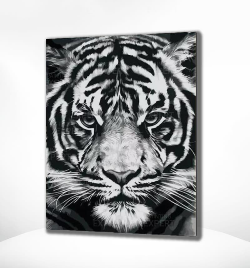 Schilderen op Nummer Tijger Painting Expert 